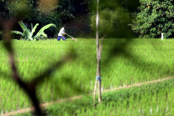  FOTO: Regulasi Pengendalian Lahan Mendesak Diterbitkan