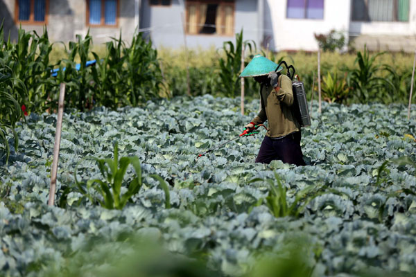  FOTO: KUR BRI: Plafon Tambahan Sasar Agrobisnis