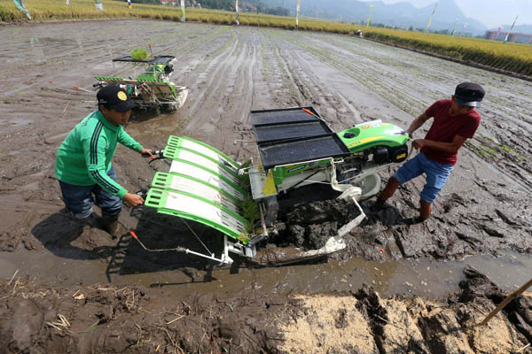  FOTO: Mesin Tanam Padi Hemat 30% Biaya Produksi