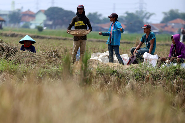  FOTO: Mentan: Ketahanan Pangan Harga Mati