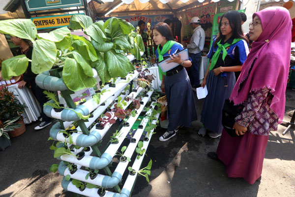  FOTO: Pertanian Hidroponik, Solusi Lahan Minim di Perkotaan