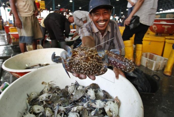  Nelayan Rajungan Rentan Dirompak di Perairan Sumatera