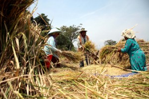  Aher Janji Perjuangkan Nasib Penyuluh Tenaga Lepas Jadi PNS