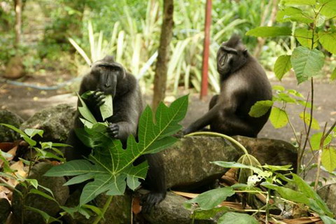  Taman Nasional Zamrud Masih Ditutup