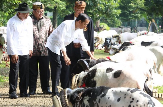  Kontes Ternak Domba dan Kambing Tunjukkan Jabar Bisa Swasembada Daging