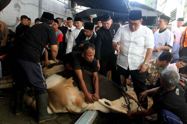  FOTO: Aher Sembelih Sendiri Hewan Kurbannya di Masjid Raya Bandung