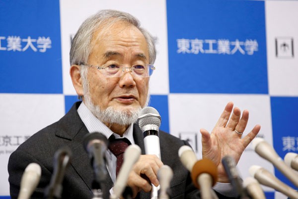 Berkat Eksperimen Ragi, Ilmuwan Jepang Dapat Hadiah Nobel