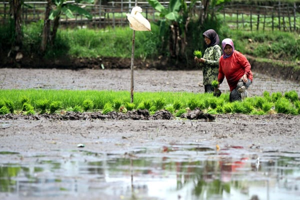  FOTO: Pembangunan Lahan Irigasi Baru Sulit Capai Target