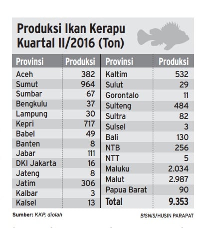  Info Grafis: Produksi Ikan Kerapu Kuartal II/2016