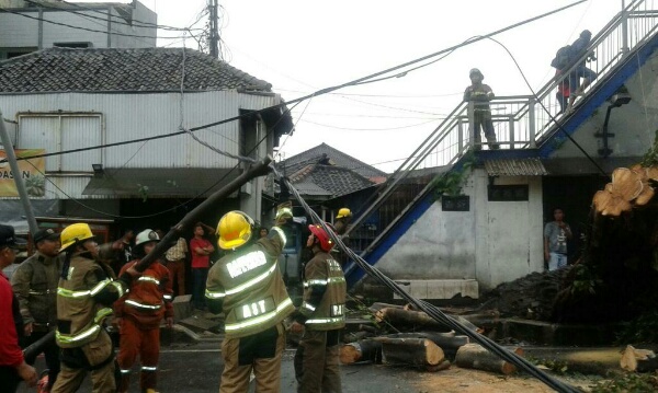  Diskamtam: Hingga Sore, Ada 17  Titik Lokasi Pohon Tumbang Di Bandung