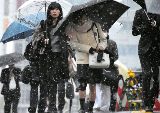  Salju Pertama di Bulan November Mengguyur Tokyo Setelah 54 Tahun Berlalu