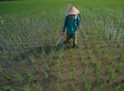  Penyuluh Pertanian Perlu Dibekali Wawasan Tentang Dampak Perubahan Iklim