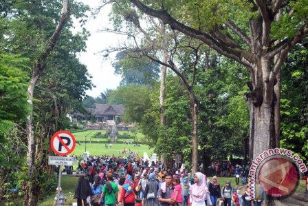  Tiket Kebun Raya Bogor Bisa Terusan Untuk 2 Museum