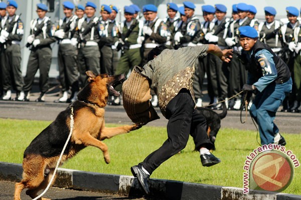  Demiz: Dari Orang Sampai Anjing Serius Amankan Jabar