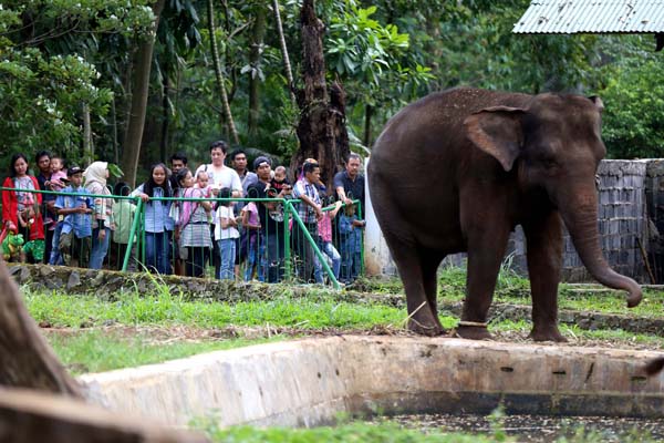  FOTO: Perlu Sinergi & Pemasaran Unik Dalam Promosi Pariwisata