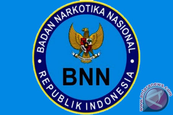  Soal Tembakau Gorila, Begini Penjelasan BNN