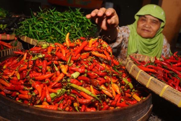  Harga Cabai Meroket, di Mataram Capai Rp100 Ribu Per Kilogram