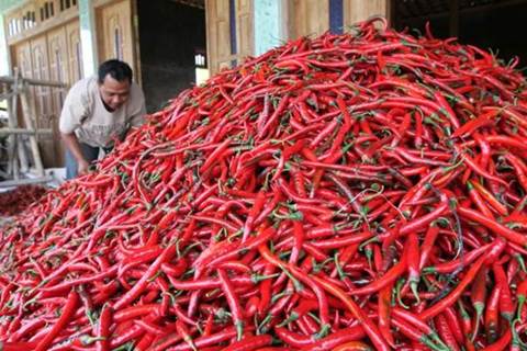  Harga Cabai di Sejumlah Pasar Magelang Mulai Turun