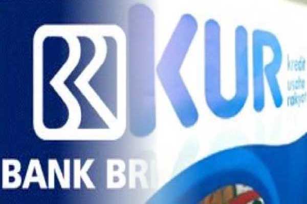  BRI Kanwil Denpasar Berhasil Kucurkan KUR Rp5,4 Triliun