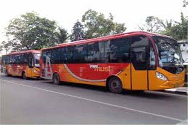  Perusda Sumsel Segera Lelang 30 Bus Transmusi