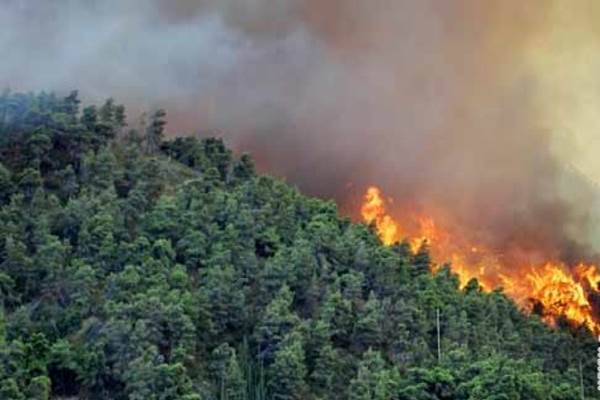  KEBAKARAN HUTAN: Titik-Titik Panas Kembali Menyebar di Sumatra