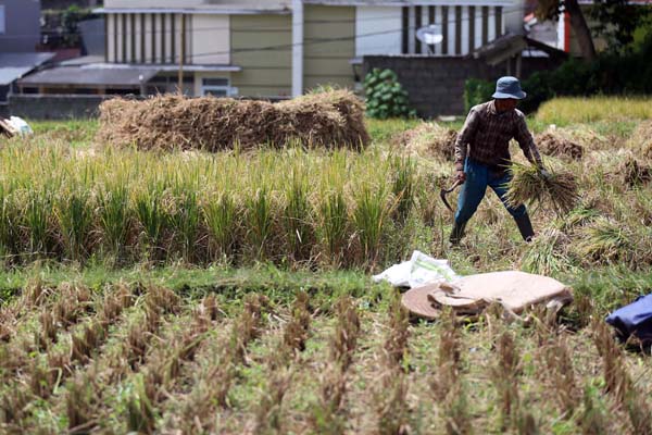  FOTO: Sistem Resi Gudang Tingkatkan Produksi Pangan