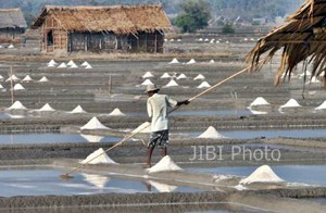  PRODUKSI GARAM, Realisasi Hanya 4% dari Target