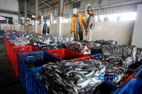  Pemkab Bantul Memperbaiki Pelelangan Ikan Pantai Depok