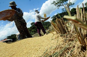  Produksi Pupuk Kudus Lampaui Target