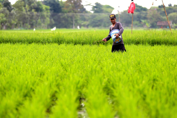  FOTO: Kemenkop UKM Dorong KUD Menjadi Penyalur KUR Pertanian