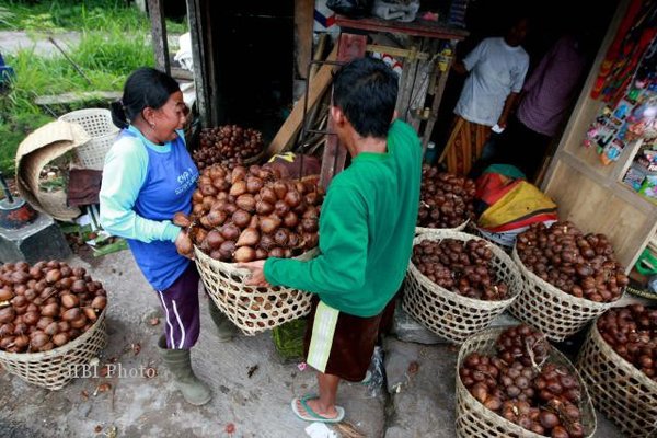  Bojonegoro Kembangkan Wisata Buah Salak
