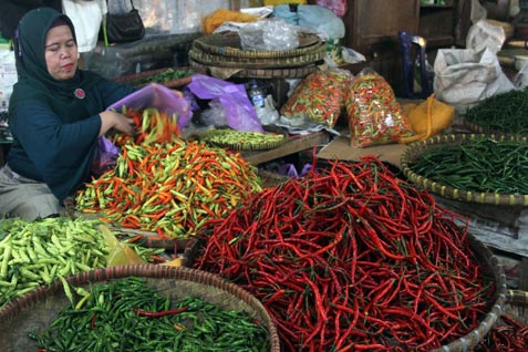  Pedagang Cabai Pilih Membeli Langsung dari Petani