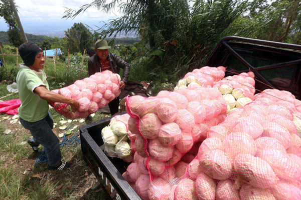  FOTO: Pemerintah Diminta Awasi Langsung Peredaran Buah & Sayuran