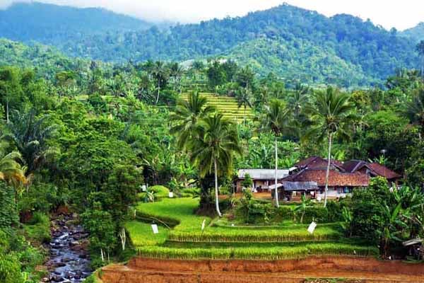  Dorong Kemajuan, Menristekdikti Akan Gulirkan Sarjana Masuk Desa