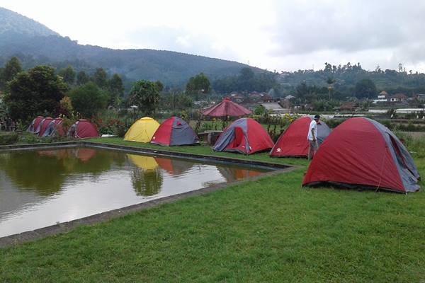 Bali Camping/Istimewa
