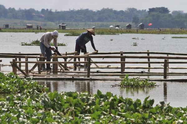  Petani Kulon Progo Budi Daya Perikanan Sistem \'Central Drain\'