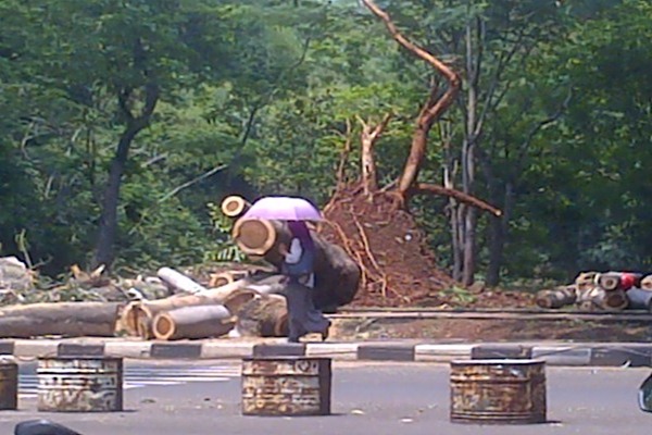 Netizen Kumpulkan Donasi Online 117 Juta Untuk Korban Pohon Tumbang di UI