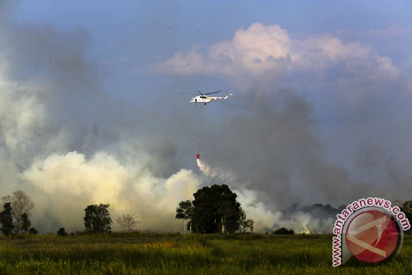  Sumsel Antisipasi Kebakaran Hutan Hadapi Kemarau