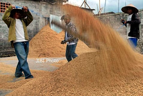  Bulog Madura Patok Serapan Gabah 15.000 Ton, Babinsa Mengawal