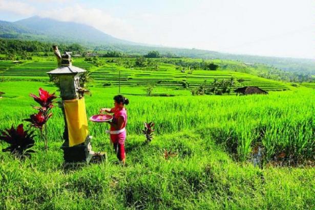  Bali Alokasikan Hibah Setiap Desa Pakraman & Subak Rp200 Juta