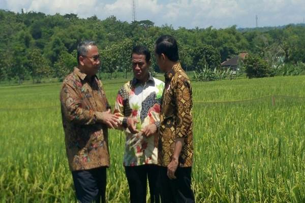  Menteri Amran Ingin Sumut Mandiri Pangan