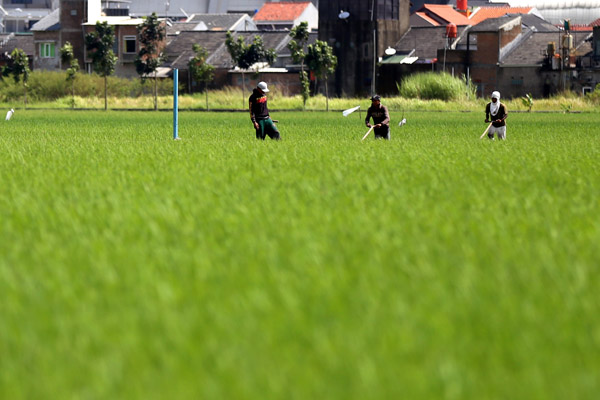  FOTO: Kementan usul Pelayanan bagi Petani Kecil Tak Dipungut PNBP