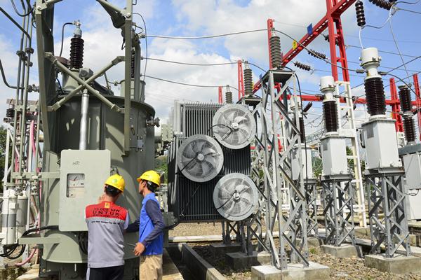  Gardu PLN di Jayapura Meledak Gara-gara Kadal