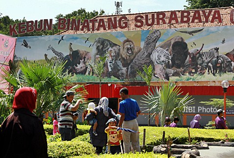  Kebun Binatang Surabaya Butuh Direktur Operasional &amp; Direktur Keuangan