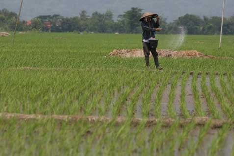  HAMA WERENG: Pemkab Madiun Distribusikan 1.100 Liter Pestisida