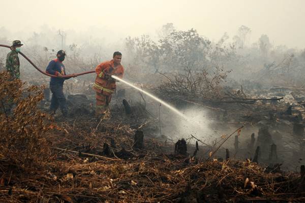  12 Hektare Lahan Gambut Pesisir Riau Terbakar