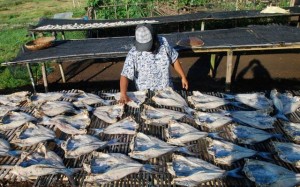 Harga Berbagai Ikan Laut di Bojonegoro Naik