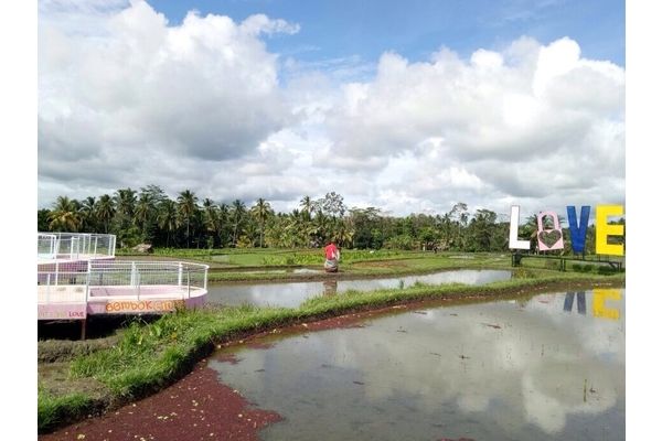  WISATA GIANYAR, Subak Suka Bayu Objek Kekinian