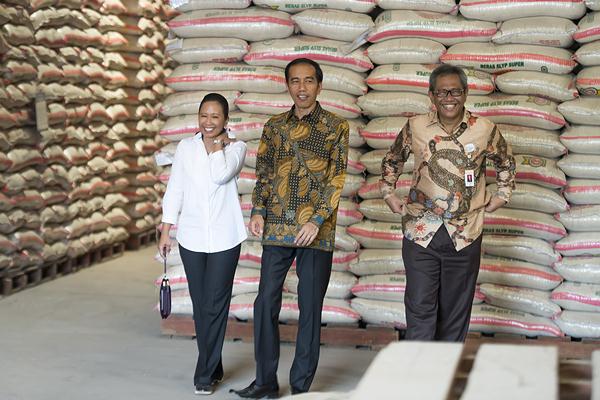  Bulog Siapkan Rp20 Triliun Serap Beras Petani