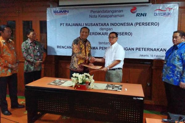  RNI Gandeng Berdikari Kembangkan Industri Peternakan